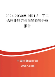 2024-2030年中国1,3—丁二烯行业研究与前景趋势分析报告