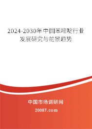 2024-2030年中国苯嘧啶行业发展研究与前景趋势