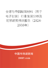 全球与中国玻璃材料（用于电子封装）行业发展分析及前景趋势预测报告（2024-2030年）