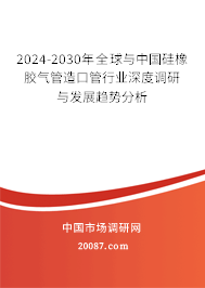 2024-2030年全球与中国硅橡胶气管造口管行业深度调研与发展趋势分析