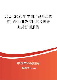 2024-2030年中国环己基乙酸烯丙酯行业发展回顾及未来趋势预测报告