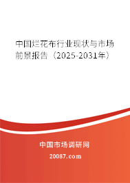 中国烂花布行业现状与市场前景报告(2025-2031年) 中国烂花布行业现状与市场前景报告(2025-2031年)