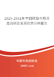2025-2031年中国硫醇市场深度调研及发展前景分析报告 2025-2031年中国硫醇市场深度调研及发展前景分析报告
