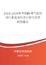 2024-2030年中国脉冲气保焊机行业发展现状分析与前景趋势报告