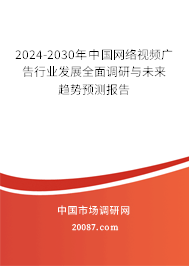 2024-2030年中国网络视频广告行业发展全面调研与未来趋势预测报告