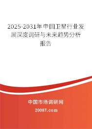 2025-2031年中国卫星行业发展深度调研与未来趋势分析报告 2025-2031年中国卫星行业发展深度调研与未来趋势分析报告