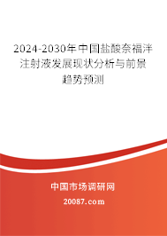 2024-2030年中国盐酸奈福泮注射液发展现状分析与前景趋势预测