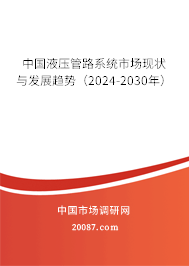 中国液压管路系统市场现状与发展趋势（2024-2030年）