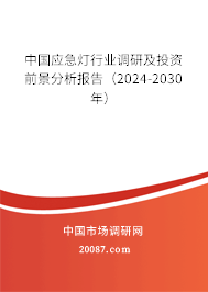 中国应急灯行业调研及投资前景分析报告（2024-2030年）