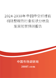 2024-2030年中国中空纤维有机硅整理剂行业现状分析及发展前景预测报告